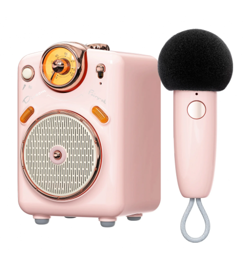 Divoom Fairy-OK Retro Mini Karaoke Speaker